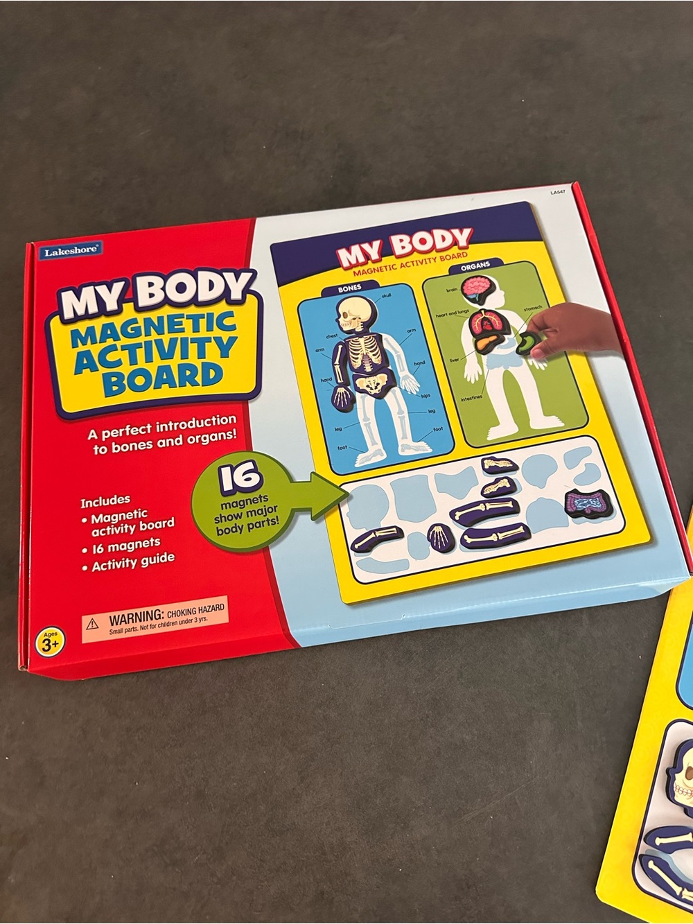 Lakeshore My Body Magnetic Activity Board